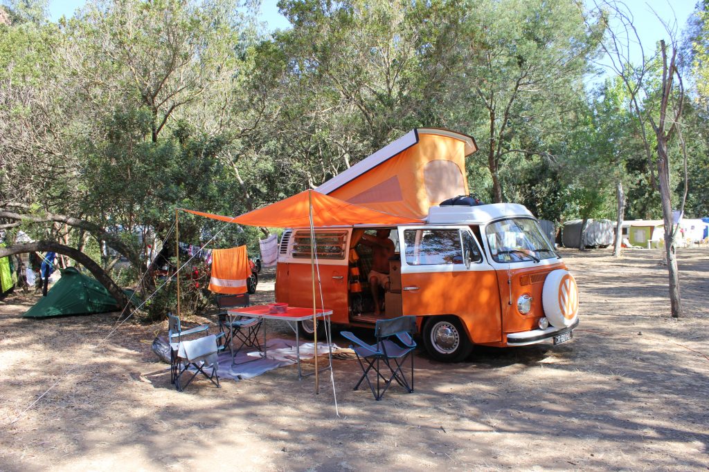 Tipizen Fonzie en pique-nique